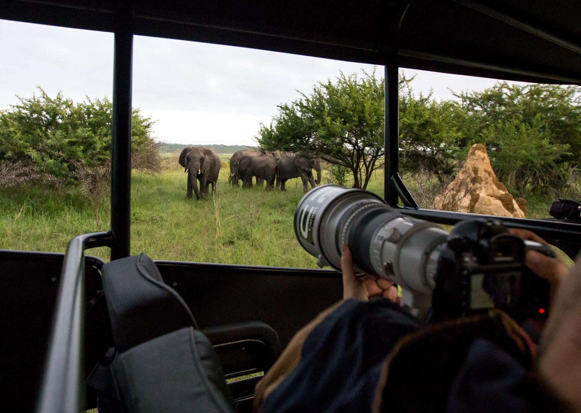 Royal Thonga Safari Lodge Sihangwane Екстер'єр фото