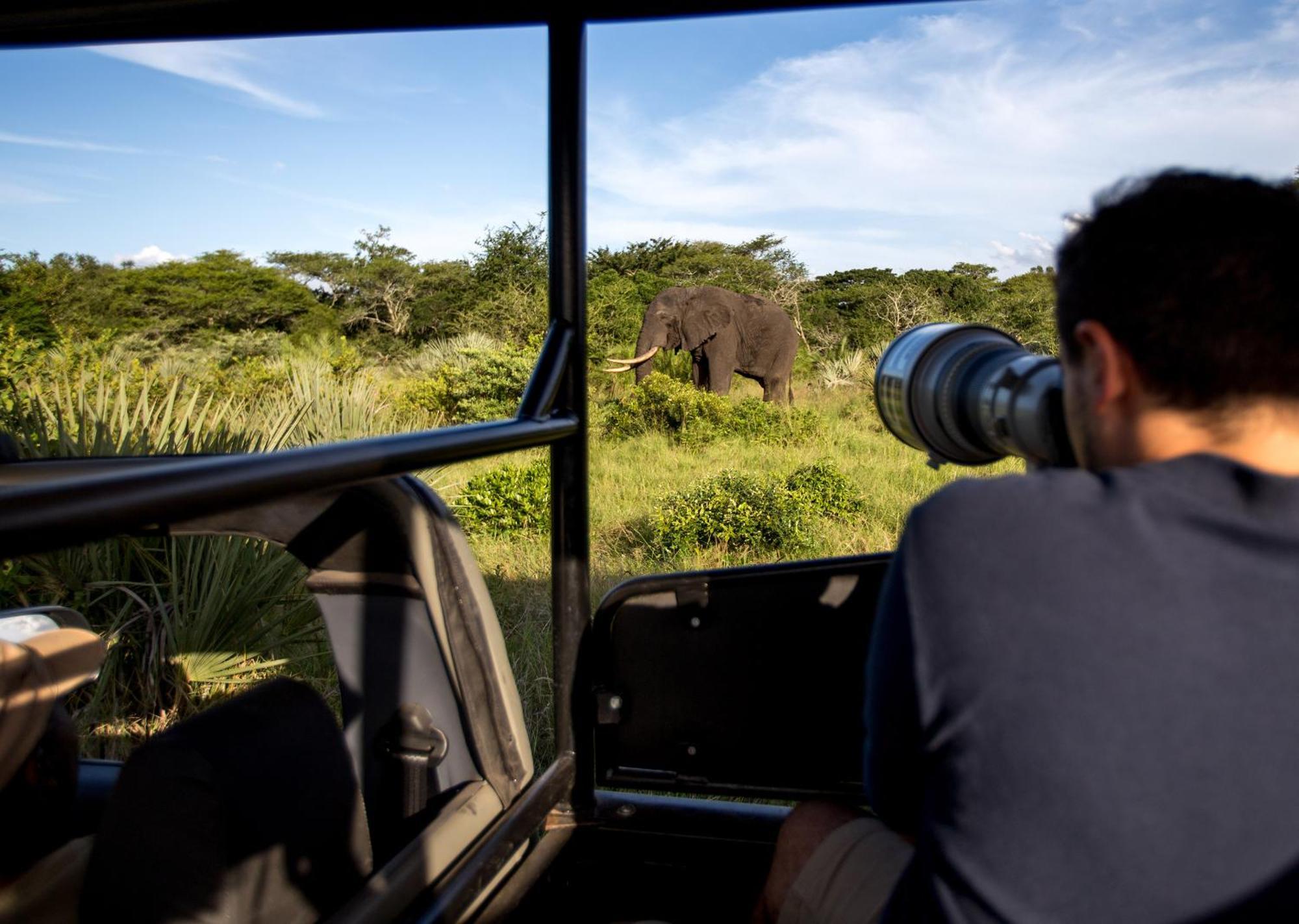 Royal Thonga Safari Lodge Sihangwane Екстер'єр фото