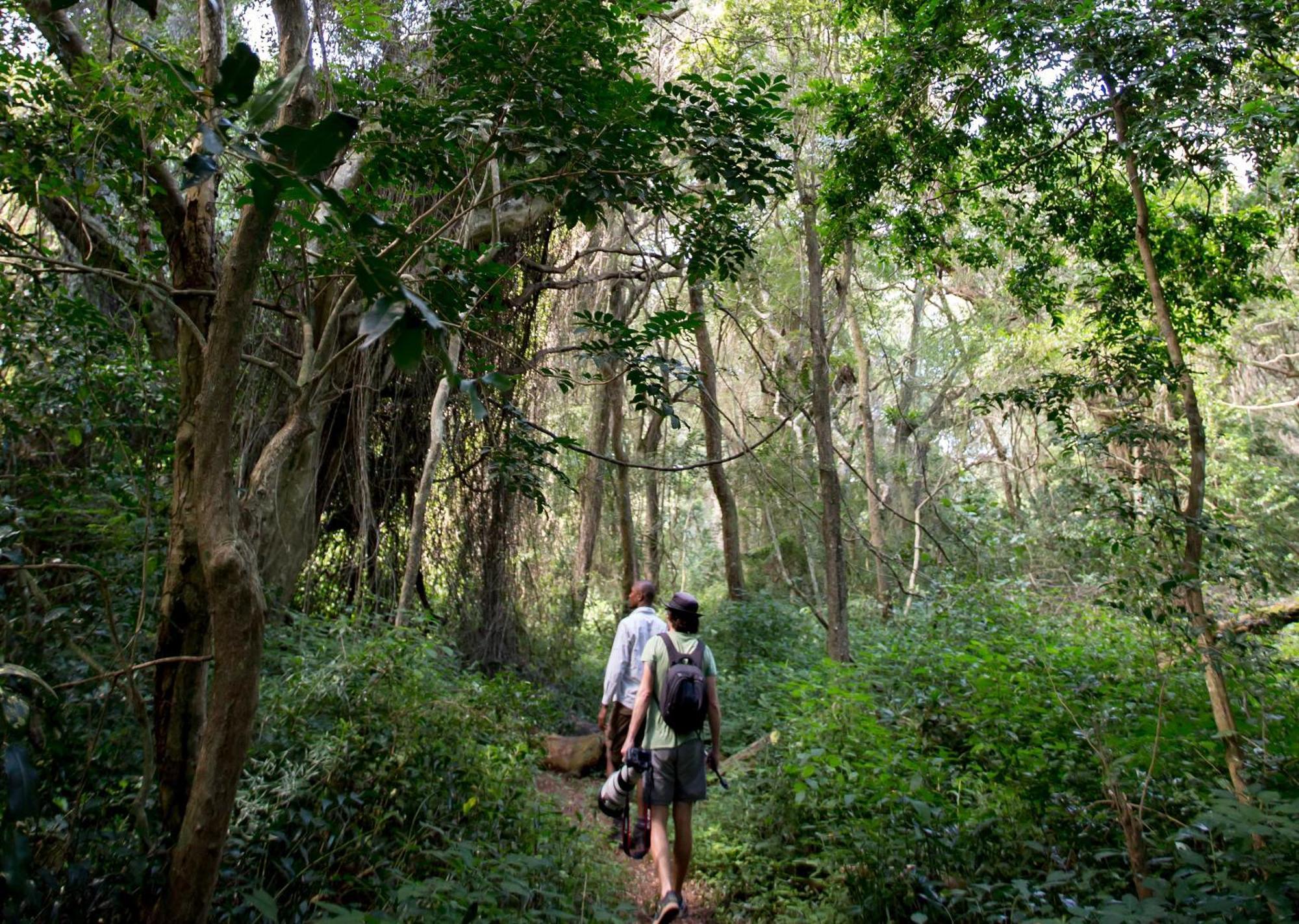 Royal Thonga Safari Lodge Sihangwane Екстер'єр фото