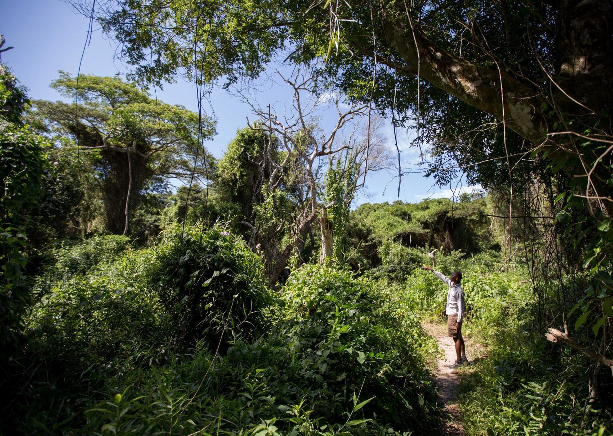 Royal Thonga Safari Lodge Sihangwane Екстер'єр фото